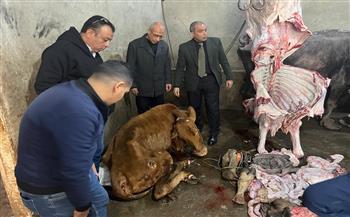 "الزراعة" تضبط 189 طنا من اللحوم ومنتجاتها غير المطابقة للاشتراطات الصحية خلال أسبوع 