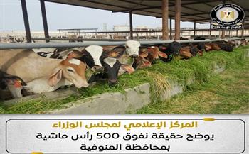 المركز الإعلامي لمجلس الوزراء يوضح حقيقة نفوق 500 رأس ماشية بمحافظة المنوفية