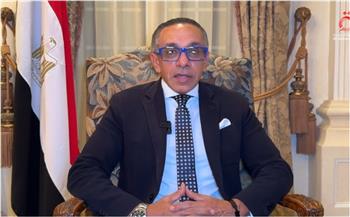 السفير المصري لدى لبنان: تماسك الداخل اللبناني محور أساسي للتهدئة واستقرار البلاد