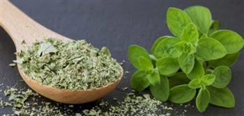 البردقوش..لعلاج نزلات البرد والسعال