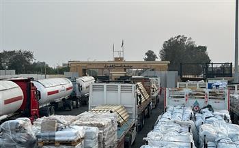 الهلال الأحمر المصري: "زاد العزة 95" تحمل مستلزمات ضرورية لمواجهة سوء الأحوال الجوية في غزة