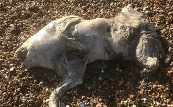 بلا رأس.. مخلوق شبحي يظهر على شاطئ بريطاني ويحيّر الجميع