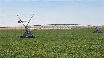 زراعة الأقصر: طفرة في ترشيد المياه وزيادة الإنتاج ودعم المزارع بمنهج علمي متكامل خلال 2025