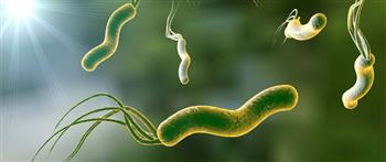 أطعمة تساعدك على التخلص من جرثومة المعدة