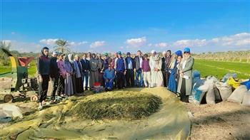 "بحوث الصحراء" يختتم سلسلة أيام حقلية مكثفة لدعم الزراعة المستدامة في توشكى والوادي الجديد