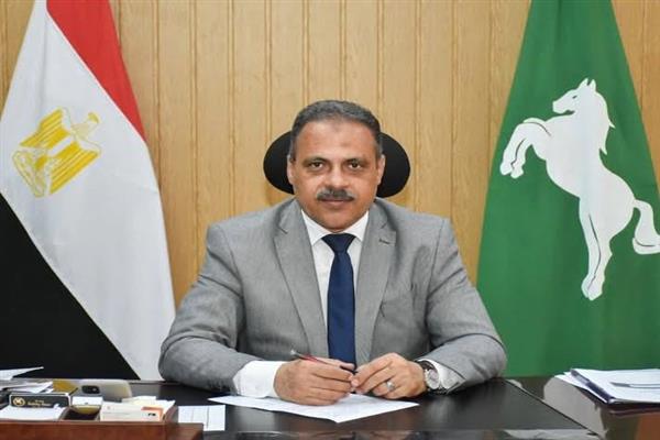 محافظ الشرقية يشيد بإقبال المواطنين الكبير على لجان إنتخابات مجلس النواب 