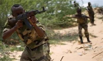 المخابرات الصومالية: مقتل 9 من المليشيات الإرهابية في منطقة تردو
