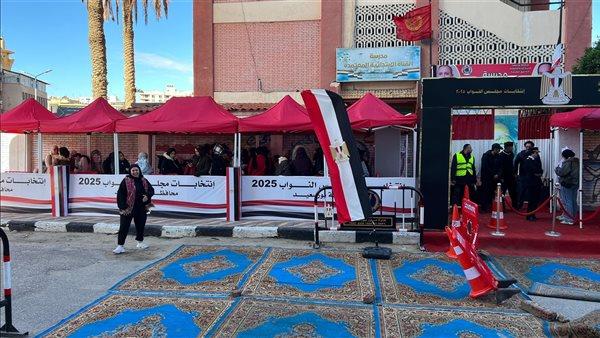 تزايد الإقبال على لجان الإعادة بالدقهلية مع اقتراب موعد الإغلاق 