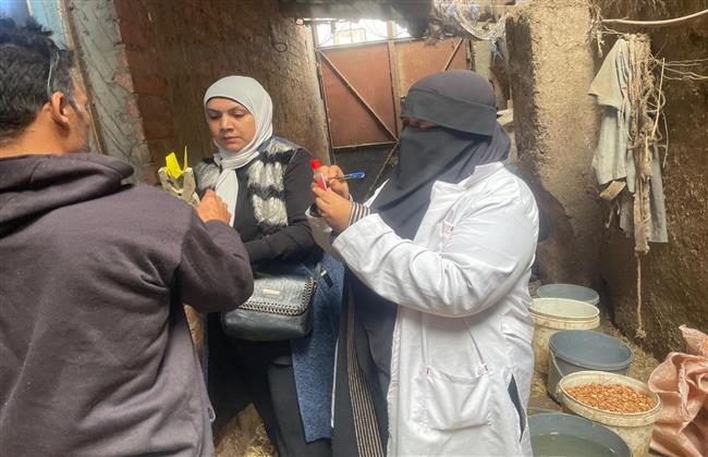  بيطرى الشرقية ينتهى من فحص (٣٠٤٦) رأس ماشية ضد البروسيلا خلال شهر نوفمبر 