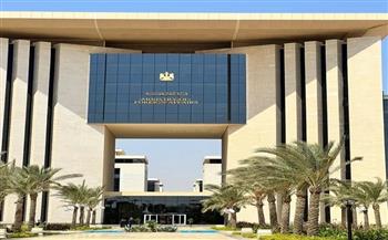 الخارجية: عام استثنائي من النجاحات الإنتخابية الدولية للدبلوماسية المصرية