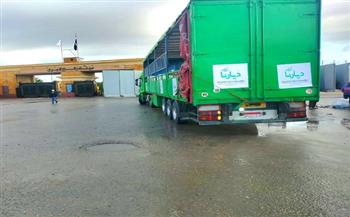 شاحنات مساعدات «ديارنا» تجتاز معبر رفح وصولًا إلى أهلنا في قطاع غزة