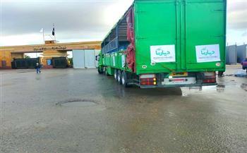 شاحنات مساعدات «ديارنا» تجتاز معبر رفح وصولًا إلى أهلنا في قطاع غزة 