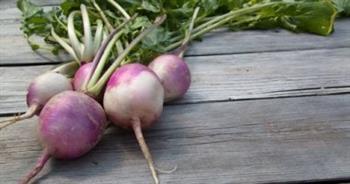 تناول "اللفت".. لصحة عظامك والرئتين 