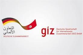 الوكالة الألمانية للتعاون الدولي تطلق للجدارات البيئية 