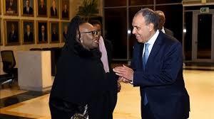 وزير الخارجية يؤكد عمق العلاقات التاريخية بين مصر وناميبيا