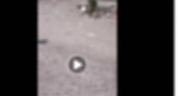 كشف حقيقة واقعة إغمار زاوية بالمياه بالإسماعيلية