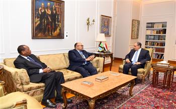 وزير الخارجية يبحث مع نظيره التنزاني سبل تعزيز العلاقات بين البلدين