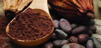 هذه فوائد الكاكاو للجسم