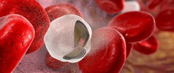 انيميا الفول..كيف تحدث؟