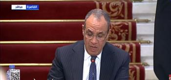 وزير الخارجية يؤكد رفض مصر القاطع لأي تدخلات في ليبيا