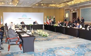 وزير الاستثمار يترأس اجتماعات الدورة الرابعة لمجلس وزراء التجارة بمجموعة الدول الثماني النامية 