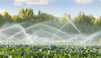 37.1 مليار متر مكعب كمية المياه المستخدمة في ري المحاصيل الزراعية عام 2024