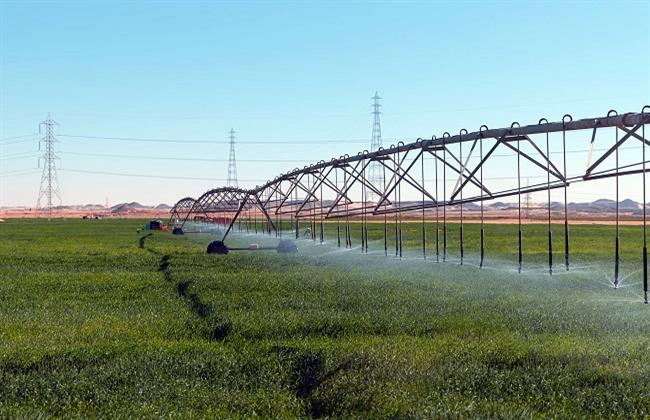 "الزراعة الأمريكية": لا خطط لمساعدات إضافية للمزارعين بعد حزمة الـ12 مليار دولار 