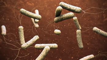 بوروندي: تسجيل 34 حالة إصابة بالكوليرا في مخيم بوسوما للاجئين