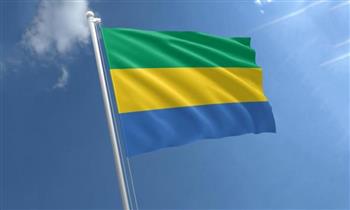 الجابون تبدأ مراجعة صفقات التعدين ضمن إصلاحات اقتصادية ومحادثات مع صندوق النقد