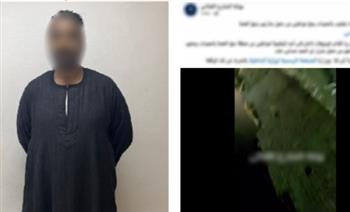 القبض على شخص بعد اعتراضه مواطنًا ومنعه من الوصول لمسكنه في قنا 