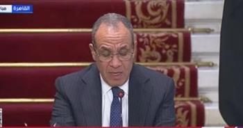 عبد العاطي يؤكد أهمية الحوار الروسي-الأفريقي في القضايا الدولية