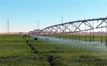 "الزراعة الأمريكية": لا خطط لمساعدات إضافية للمزارعين بعد حزمة الـ12 مليار دولار 