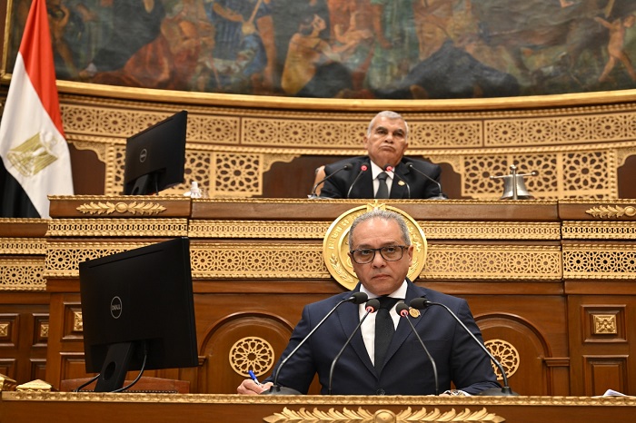 مجلس الشيوخ يوافق مبدئيًا على تعديل قانون الكهرباء 