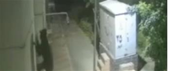 القبض على شخص يتسلق المواسير لدخول إحدى الشقق بالشروق