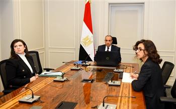 لقاء افتراضي لوزير الخارجية مع الجالية المصرية في كمبوديا وسنغافورا وتايلاند