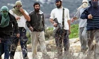 مستوطنون يقتحمون منطقة "طاروسا" بالخليل.. وإصابة 3 فلسطينيين إثر اعتداء في طولكرم