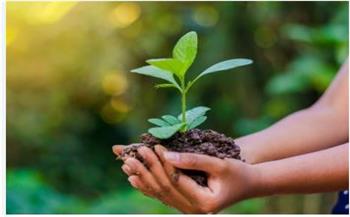 دوميط كامل: الدول المتقدمة تُقدّم حماية البيئة على المكاسب الاقتصادية مهما بلغت