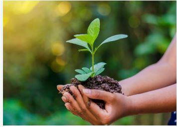 دوميط كامل: الدول المتقدمة تُقدّم حماية البيئة على المكاسب الاقتصادية مهما بلغت 