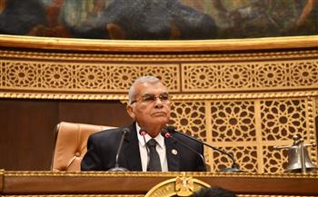 مجلس الشيوخ يفتتح جلسته العامة لمناقشة تعديل قانون نقابة المهن الرياضية 