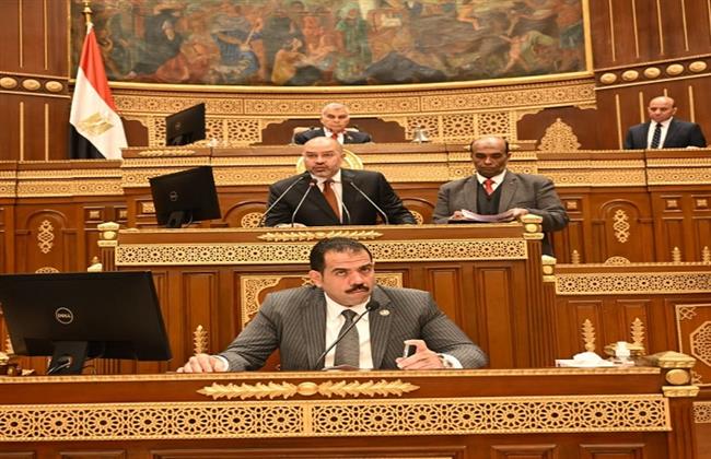 مجلس الشيوخ يوافق مبدئيًا على تعديل قانون نقابة المهن الرياضية