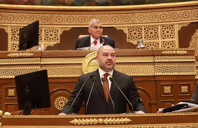 مجلس الشيوخ يوافق نهائيا على تعديل قانون نقابة المهن الرياضية