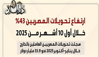 مصر تسجل أعلى تحويلات للمغتربين خلال العام الجاري مع نمو ملحوظ في أكتوبر.. إنفوجراف