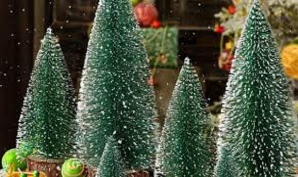 تبدأ من 15 جنيهًا.. أسعار أشجار الكريسماس مع اقتراب ليلة رأس السنة