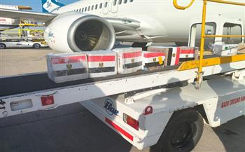 مصر ترسل قافلة طبية نوعية ومستلزمات علاجية وأدوية إلى السودان