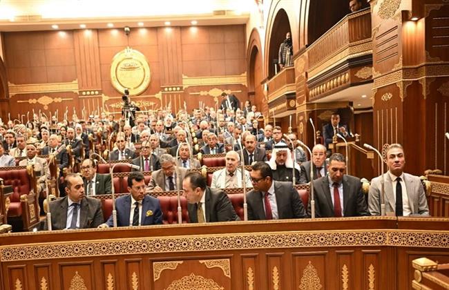 مجلس الشيوخ يناقش تقرير لجنة الشباب والرياضة بشأن مشروع قانون إنشاء وتنظيم نقابة المهن الرياضية