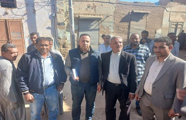 "الزراعة" تنفي علاقة "النمل الأبيض" بانهيار منازل في الأقصر وتوضح الأسباب الحقيقية