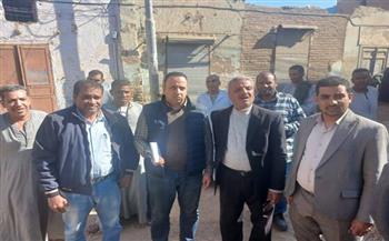 "الزراعة" تنفي علاقة "النمل الأبيض" بانهيار منازل في الأقصر وتوضح الأسباب الحقيقية