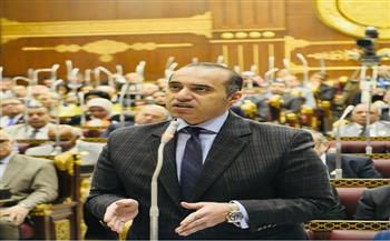 فوزي: مشروع قانون المهن الرياضية يضع الأطر التنظيمية للدراسات المتخصصة لمنع الفوضى