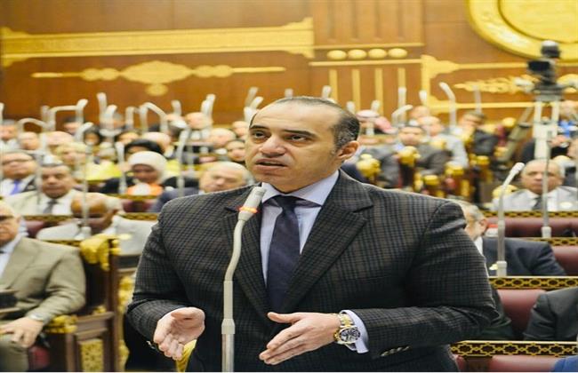 فوزي: مشروع قانون المهن الرياضية يضع الأطر التنظيمية للدراسات المتخصصة لمنع الفوضى