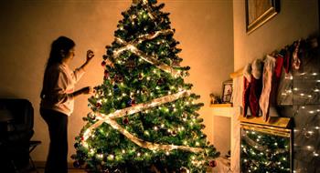 لاختيار شجرة الكريسماس المناسبة لمنزلك بسهولة.. اتبعي تلك النصائح 